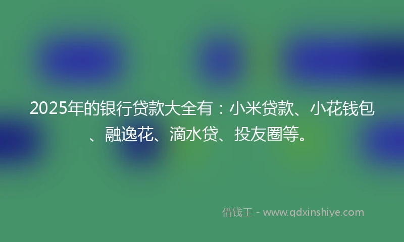 2025年的银行贷款大全有：小米贷款、小花钱包、融逸花、滴水贷、投友圈等。