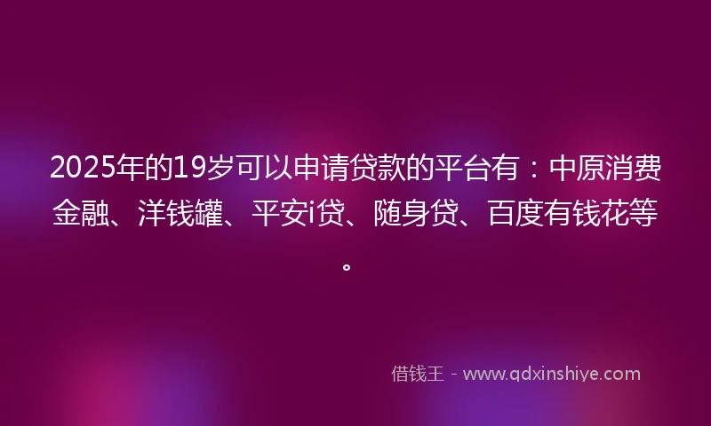 2025年的19岁可以申请贷款的平台有：中原消费金融、洋钱罐、平安i贷、随身贷、百度有钱花等。