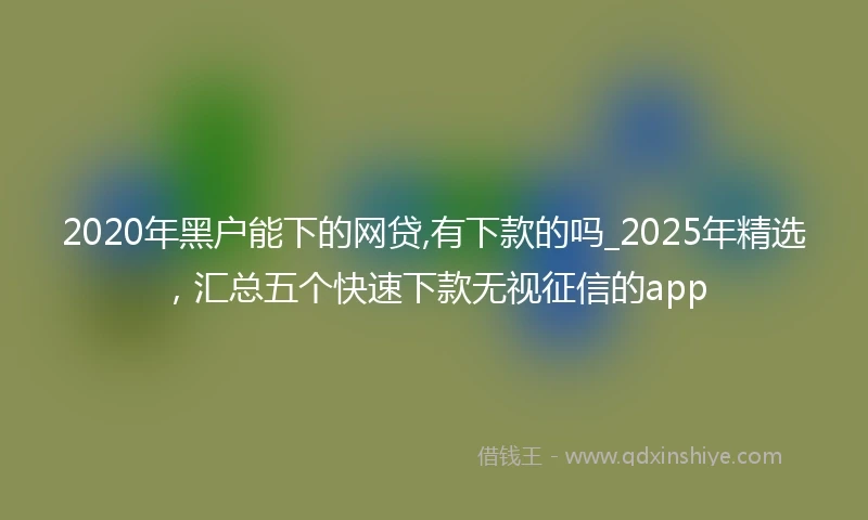 2020年黑户能下的网贷,有下款的吗_2025年精选，汇总五个快速下款无视征信的app