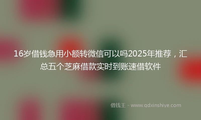 16岁借钱急用小额转微信可以吗2025年推荐，汇总五个芝麻借款实时到账速借软件
