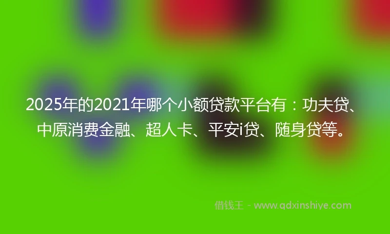 2025年的2021年哪个小额贷款平台有：功夫贷、中原消费金融、超人卡、平安i贷、随身贷等。