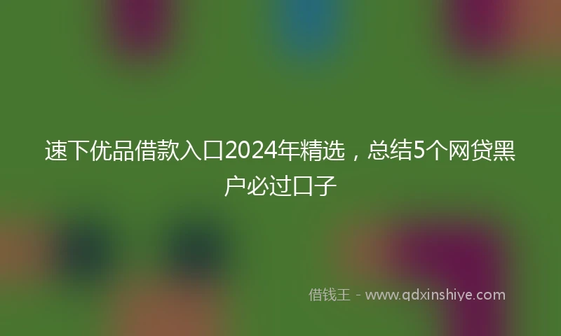 速下优品借款入口2024年精选，总结5个网贷黑户必过口子