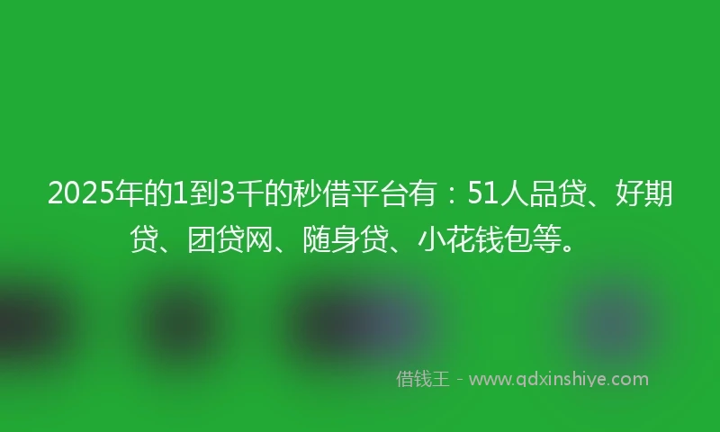 2025年的1到3千的秒借平台有：51人品贷、好期贷、团贷网、随身贷、小花钱包等。