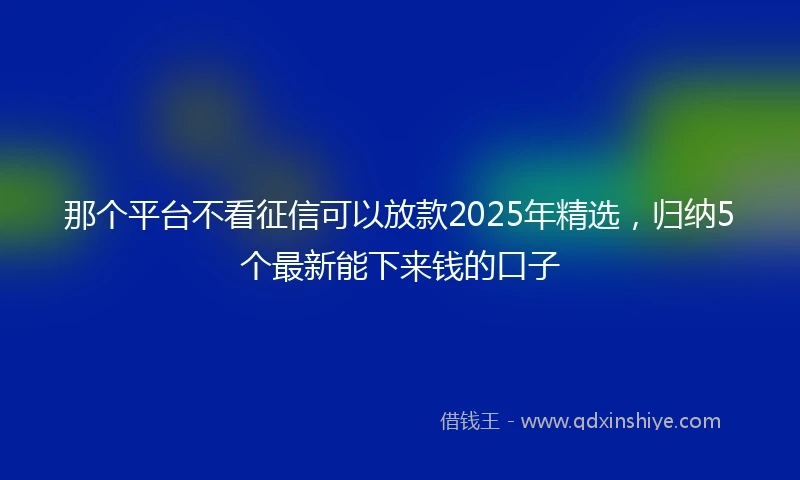 那个平台不看征信可以放款2025年精选，归纳5个最新能下来钱的口子