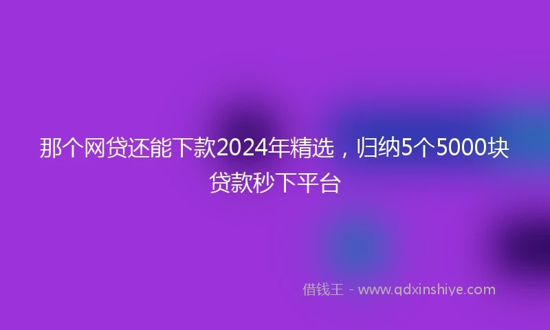 那个网贷还能下款2024年精选，归纳5个5000块贷款秒下平台