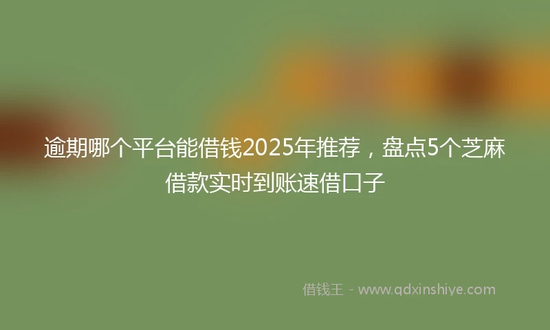 逾期哪个平台能借钱2025年推荐，盘点5个芝麻借款实时到账速借口子