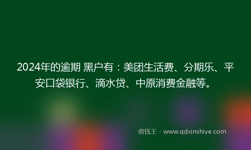 2024年的逾期 黑户有：美团生活费、分期乐、平安口袋银行、滴水贷、中原消费金融等。