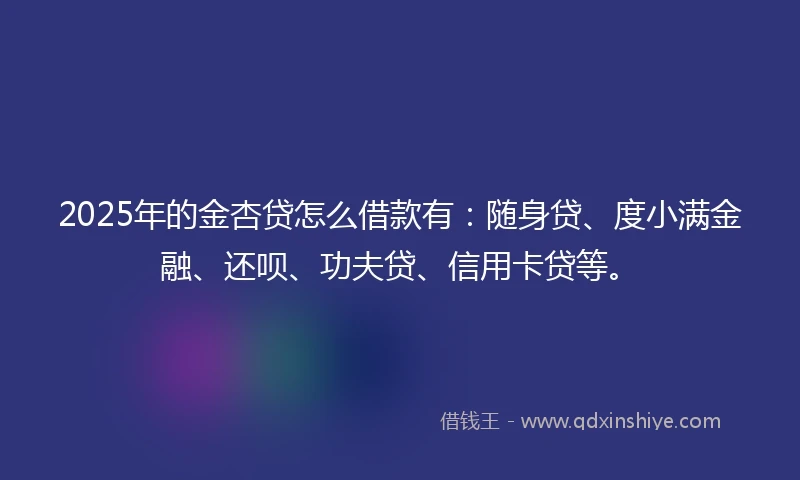 2025年的金杏贷怎么借款有：随身贷、度小满金融、还呗、功夫贷、信用卡贷等。