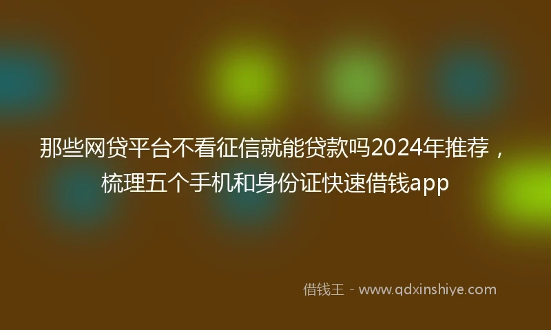 那些网贷平台不看征信就能贷款吗2024年推荐，梳理五个手机和身份证快速借钱app