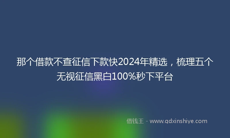 那个借款不查征信下款快2024年精选，梳理五个无视征信黑白100%秒下平台