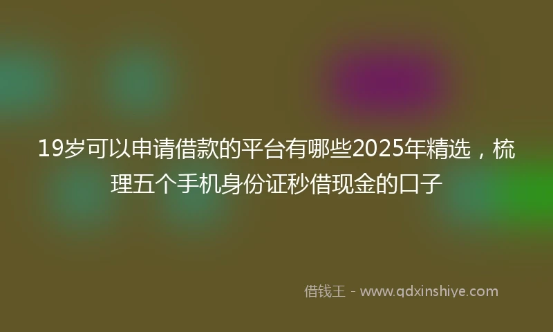 19岁可以申请借款的平台有哪些2025年精选，梳理五个手机身份证秒借现金的口子