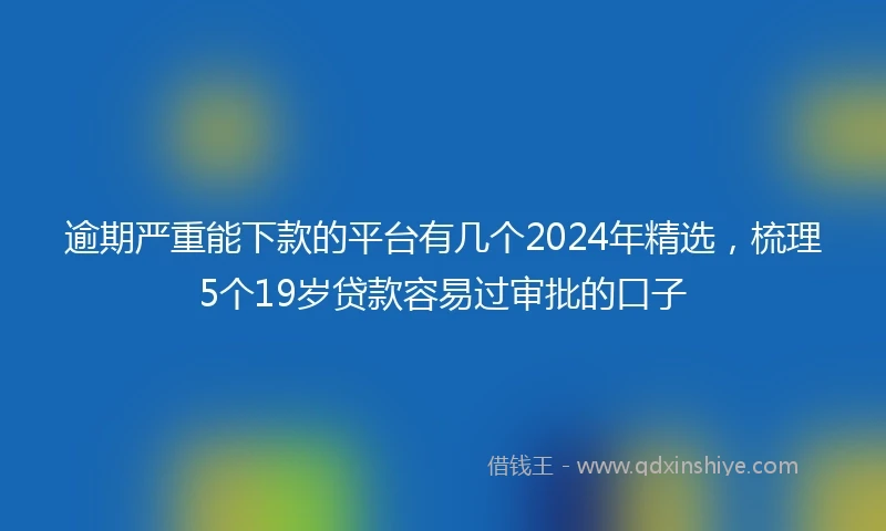 逾期严重能下款的平台有几个2024年精选，梳理5个19岁贷款容易过审批的口子