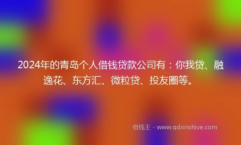 2024年的青岛个人借钱贷款公司有：你我贷、融逸花、东方汇、微粒贷、投友圈等。