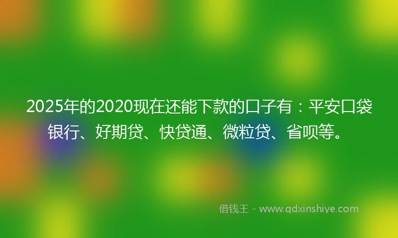 2025年的2020现在还能下款的口子有：平安口袋银行、好期贷、快贷通、微粒贷、省呗等。