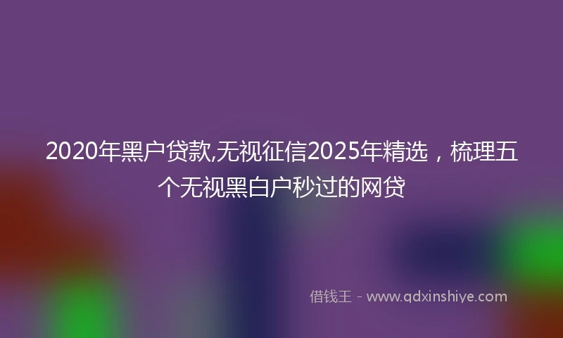 2020年黑户贷款,无视征信2025年精选，梳理五个无视黑白户秒过的网贷