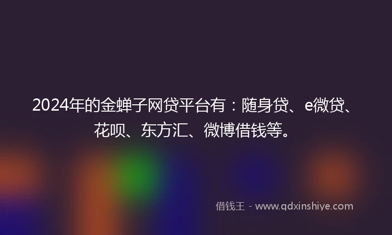 2024年的金蝉子网贷平台有：随身贷、e微贷、花呗、东方汇、微博借钱等。