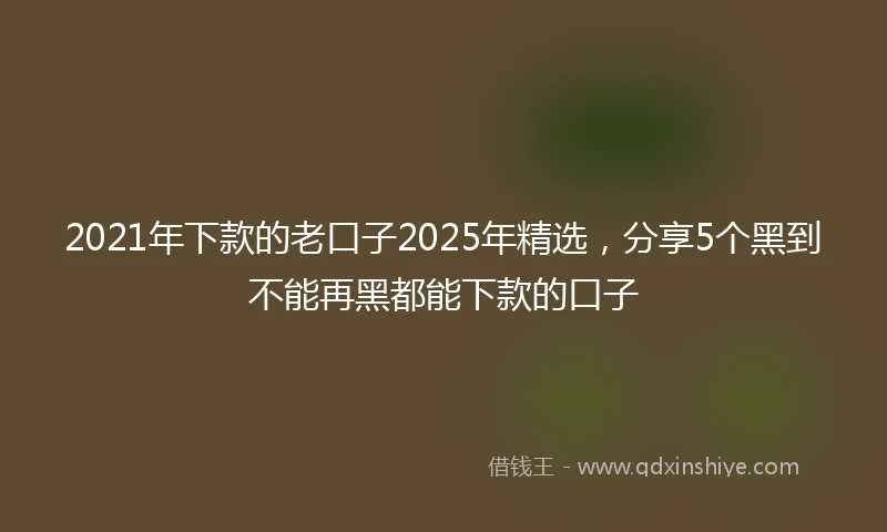 2021年下款的老口子2025年精选，分享5个黑到不能再黑都能下款的口子