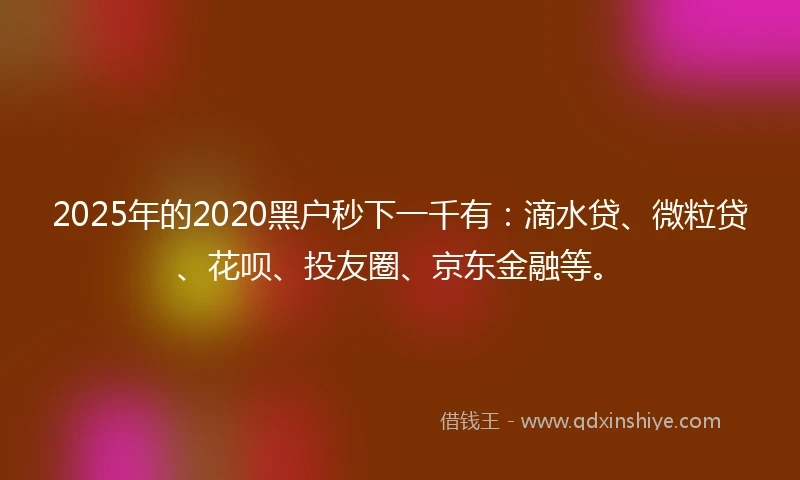 2025年的2020黑户秒下一千有：滴水贷、微粒贷、花呗、投友圈、京东金融等。
