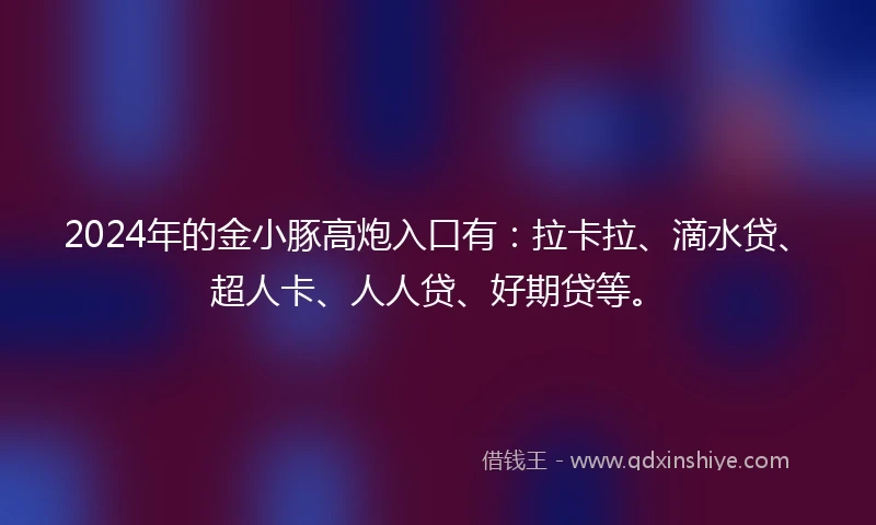 2024年的金小豚高炮入口有：拉卡拉、滴水贷、超人卡、人人贷、好期贷等。