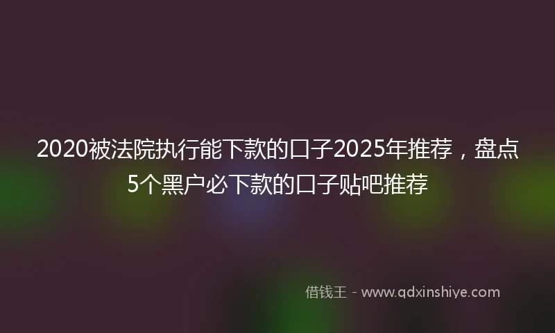 2020被法院执行能下款的口子2025年推荐，盘点5个黑户必下款的口子贴吧推荐
