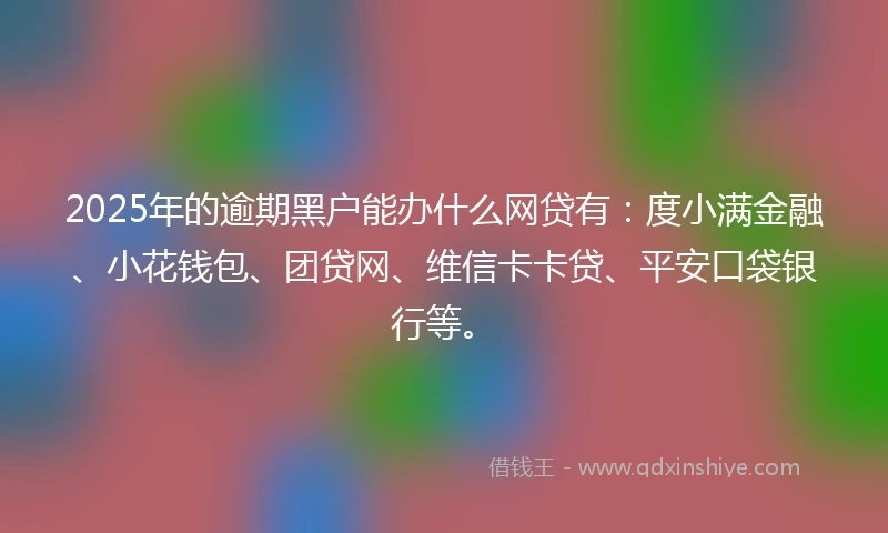 2025年的逾期黑户能办什么网贷有：度小满金融、小花钱包、团贷网、维信卡卡贷、平安口袋银行等。