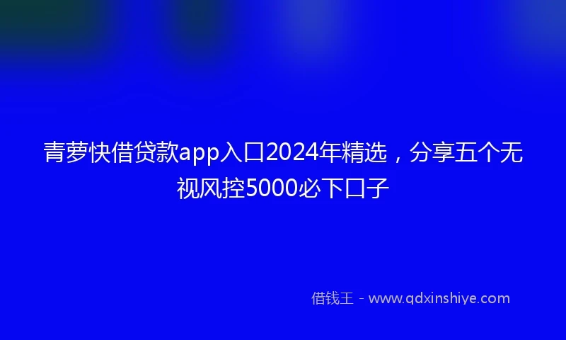 青萝快借贷款app入口2024年精选，分享五个无视风控5000必下口子