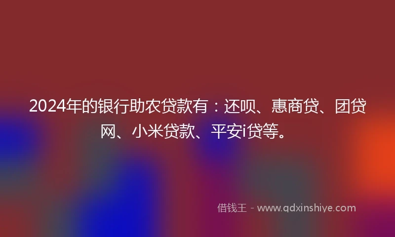 2024年的银行助农贷款有：还呗、惠商贷、团贷网、小米贷款、平安i贷等。