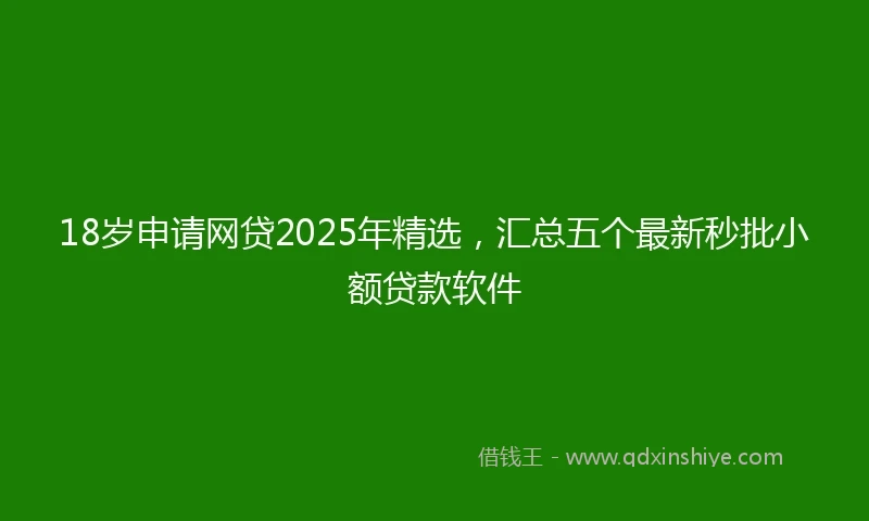18岁申请网贷2025年精选，汇总五个最新秒批小额贷款软件