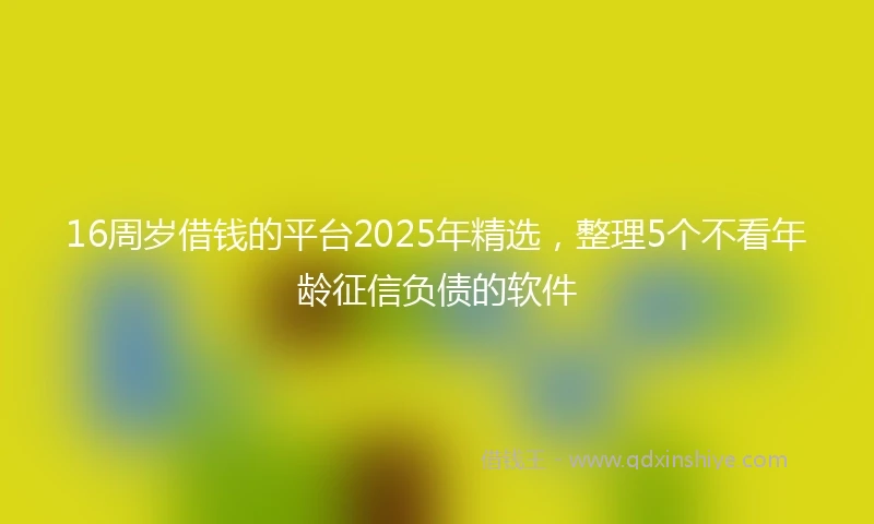 16周岁借钱的平台2025年精选，整理5个不看年龄征信负债的软件