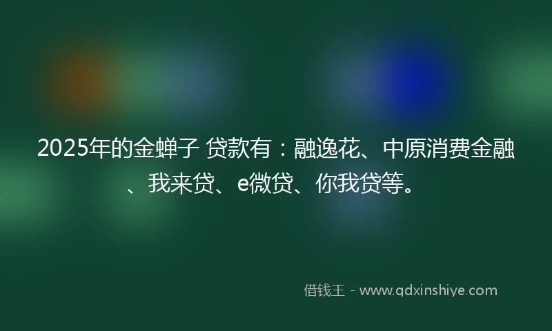 2025年的金蝉子 贷款有：融逸花、中原消费金融、我来贷、e微贷、你我贷等。
