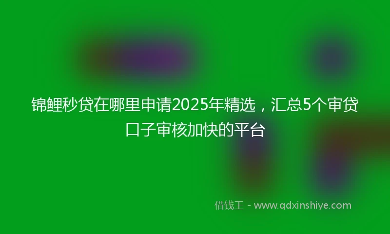 锦鲤秒贷在哪里申请2025年精选，汇总5个审贷口子审核加快的平台