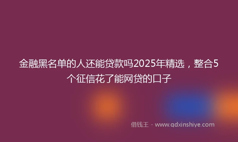 金融黑名单的人还能贷款吗2025年精选，整合5个征信花了能网贷的口子