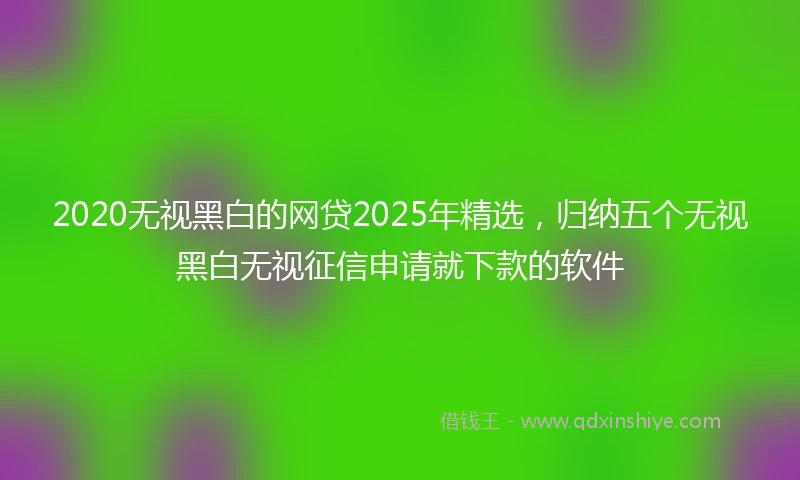 2020无视黑白的网贷2025年精选，归纳五个无视黑白无视征信申请就下款的软件