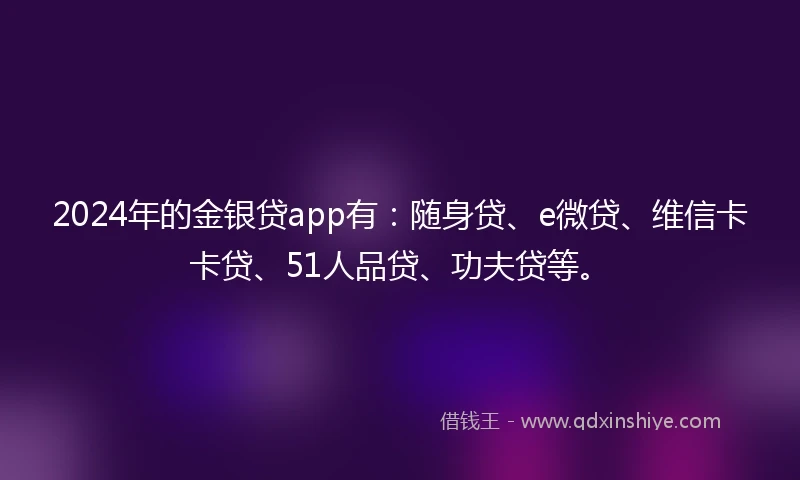 2024年的金银贷app有：随身贷、e微贷、维信卡卡贷、51人品贷、功夫贷等。