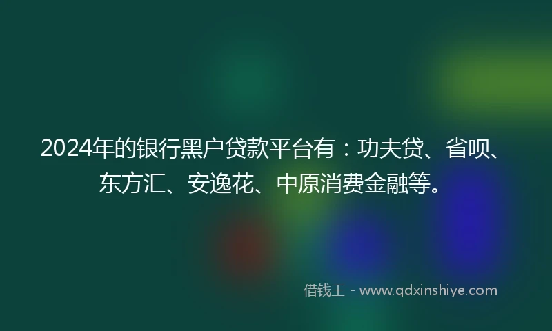 2024年的银行黑户贷款平台有：功夫贷、省呗、东方汇、安逸花、中原消费金融等。