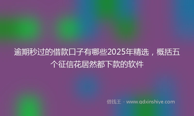 逾期秒过的借款口子有哪些2025年精选，概括五个征信花居然都下款的软件