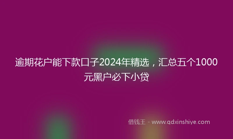 逾期花户能下款口子2024年精选，汇总五个1000元黑户必下小贷