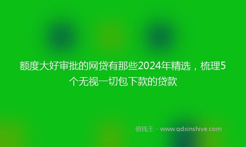 额度大好审批的网贷有那些2024年精选，梳理5个无视一切包下款的贷款