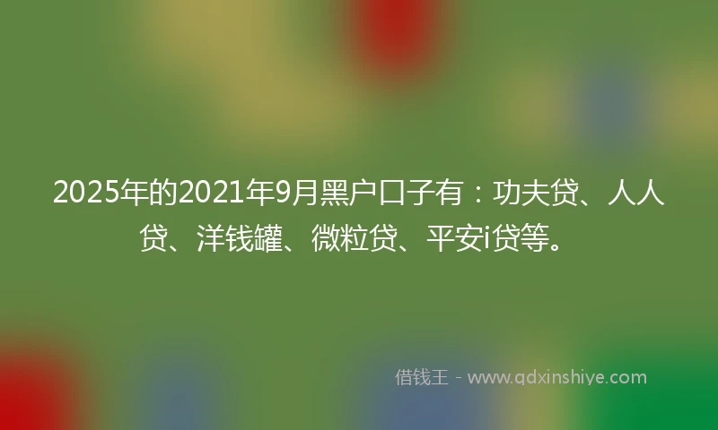 2025年的2021年9月黑户口子有：功夫贷、人人贷、洋钱罐、微粒贷、平安i贷等。
