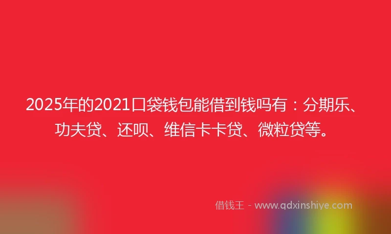 2025年的2021口袋钱包能借到钱吗有：分期乐、功夫贷、还呗、维信卡卡贷、微粒贷等。