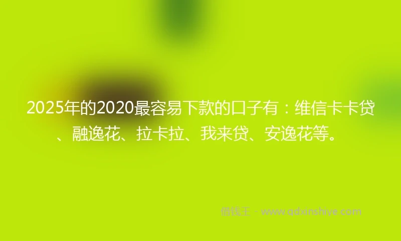 2025年的2020最容易下款的口子有：维信卡卡贷、融逸花、拉卡拉、我来贷、安逸花等。