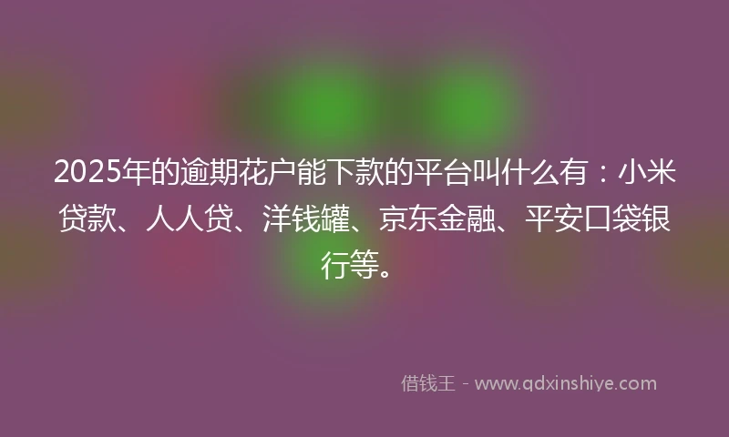 2025年的逾期花户能下款的平台叫什么有：小米贷款、人人贷、洋钱罐、京东金融、平安口袋银行等。