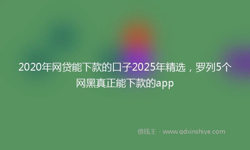 2020年网贷能下款的口子2025年精选，罗列5个网黑真正能下款的app
