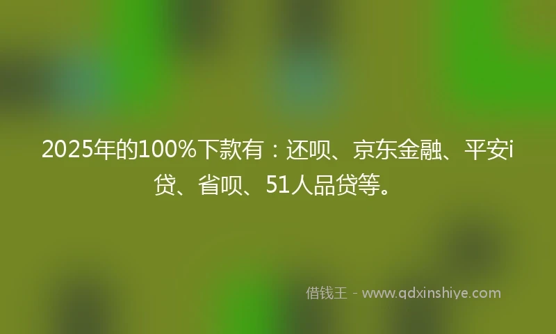 2025年的100%下款有：还呗、京东金融、平安i贷、省呗、51人品贷等。
