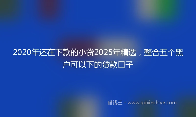 2020年还在下款的小贷2025年精选，整合五个黑户可以下的贷款口子