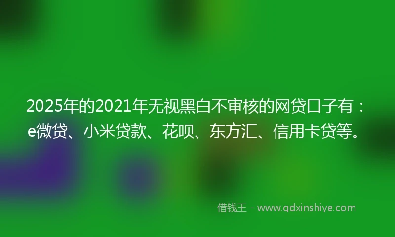 2025年的2021年无视黑白不审核的网贷口子有：e微贷、小米贷款、花呗、东方汇、信用卡贷等。