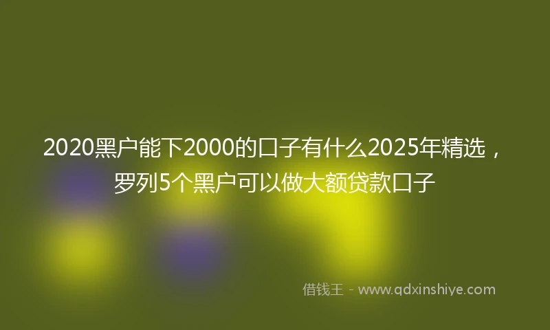 2020黑户能下2000的口子有什么2025年精选，罗列5个黑户可以做大额贷款口子