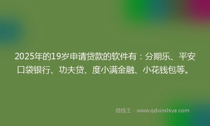 2025年的19岁申请贷款的软件有：分期乐、平安口袋银行、功夫贷、度小满金融、小花钱包等。