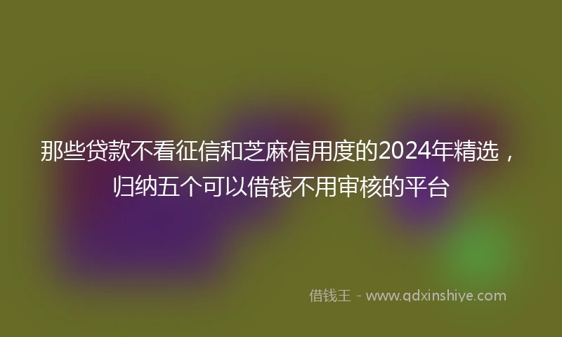 那些贷款不看征信和芝麻信用度的2024年精选，归纳五个可以借钱不用审核的平台
