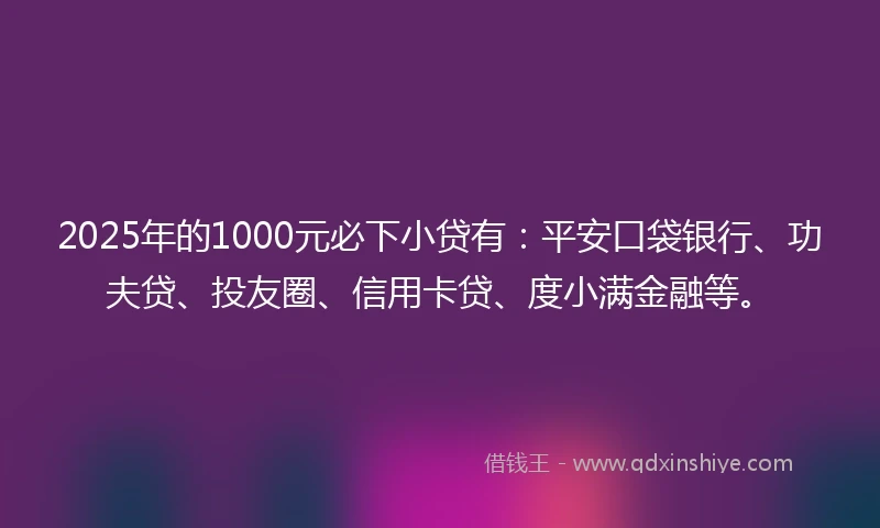 2025年的1000元必下小贷有：平安口袋银行、功夫贷、投友圈、信用卡贷、度小满金融等。